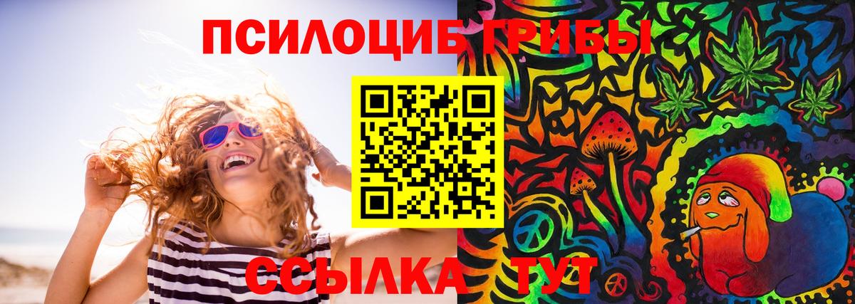 Благовещенск  Галлюциногенные грибы Psilocybine cubensis  Вход с VPN 